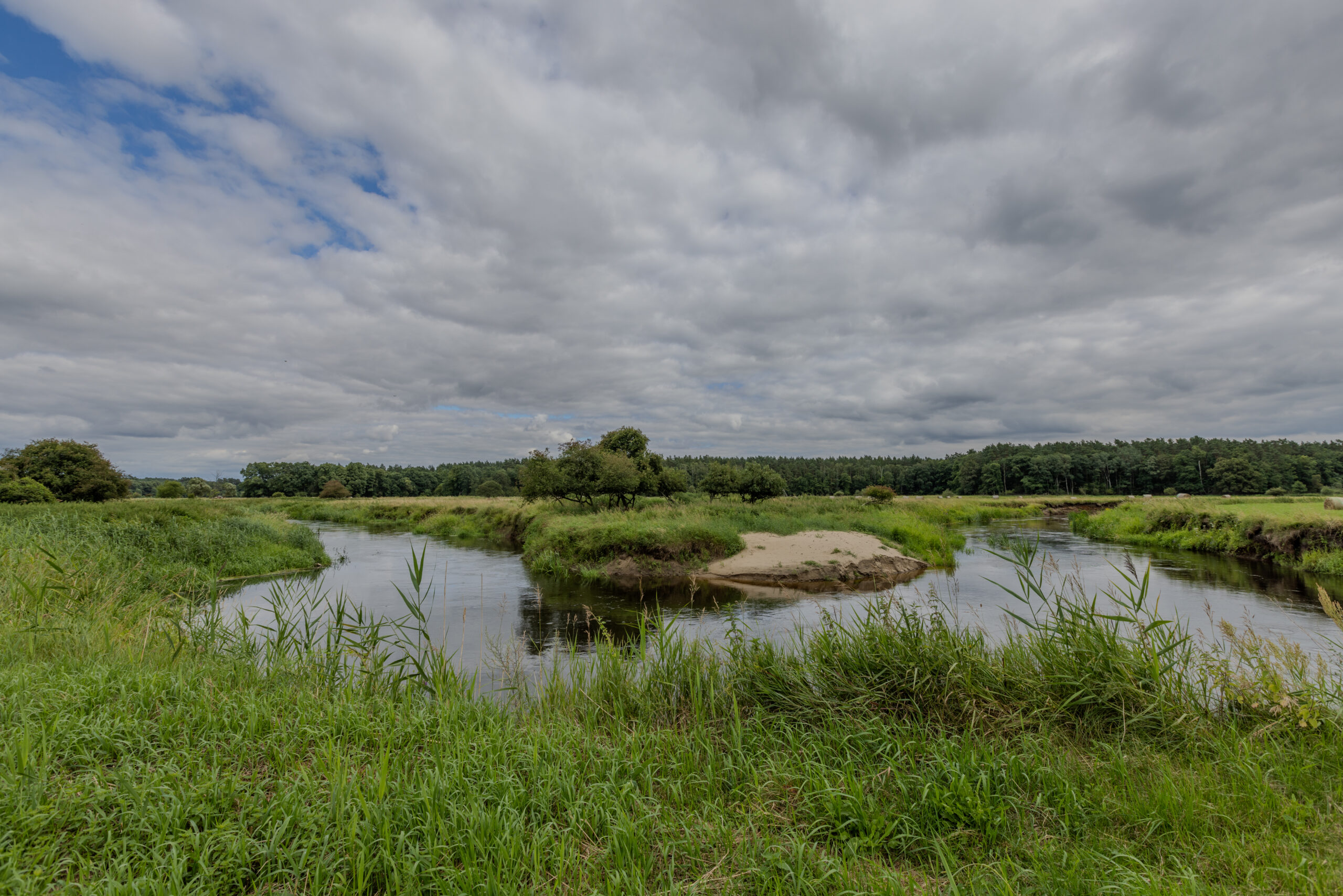 Landschaft in der Ueckermünder Heide, © Rewilding Oder Delta / Peter Torkler